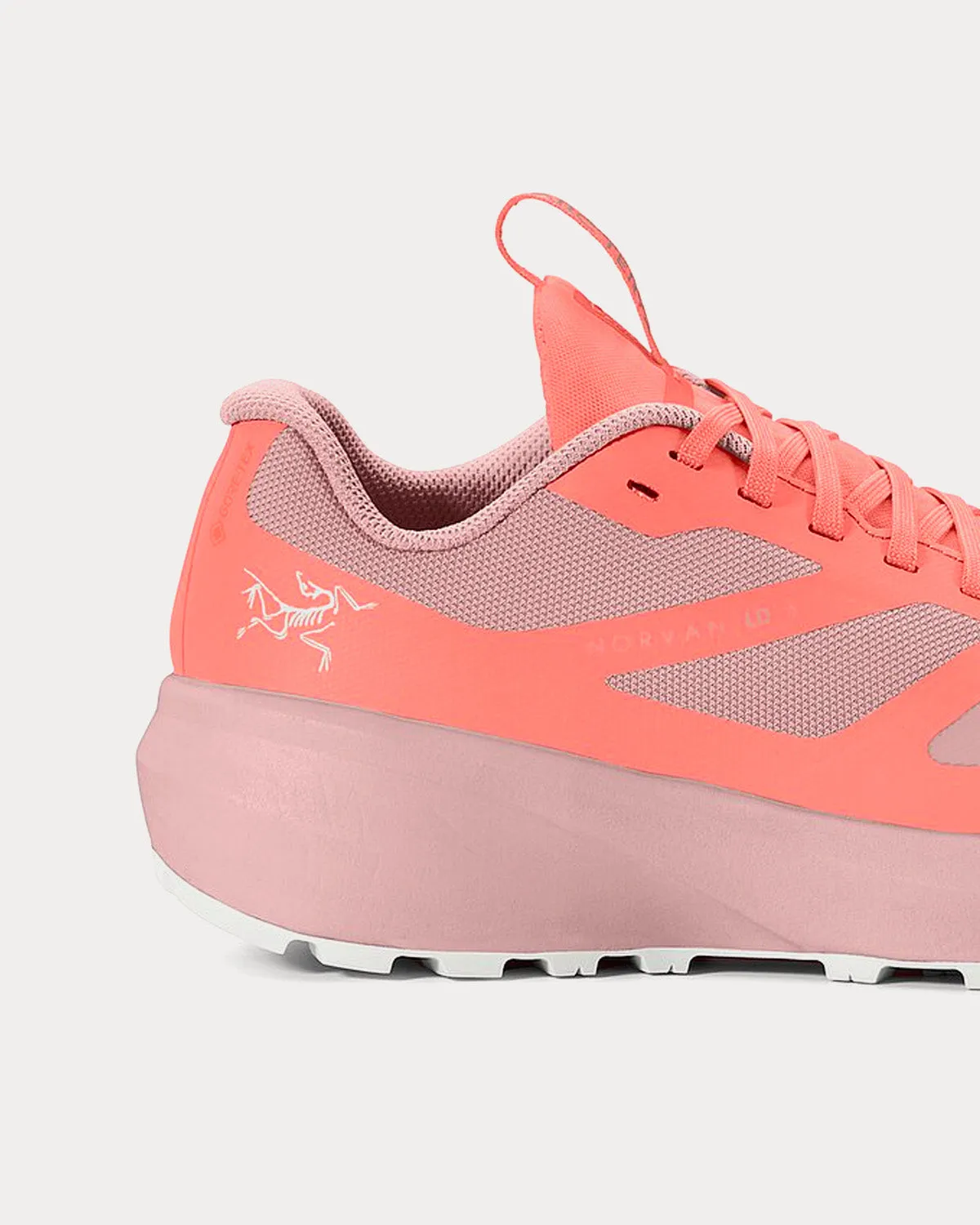 Norvan LD 3 GTX Solasta / Bliss Running Shoes