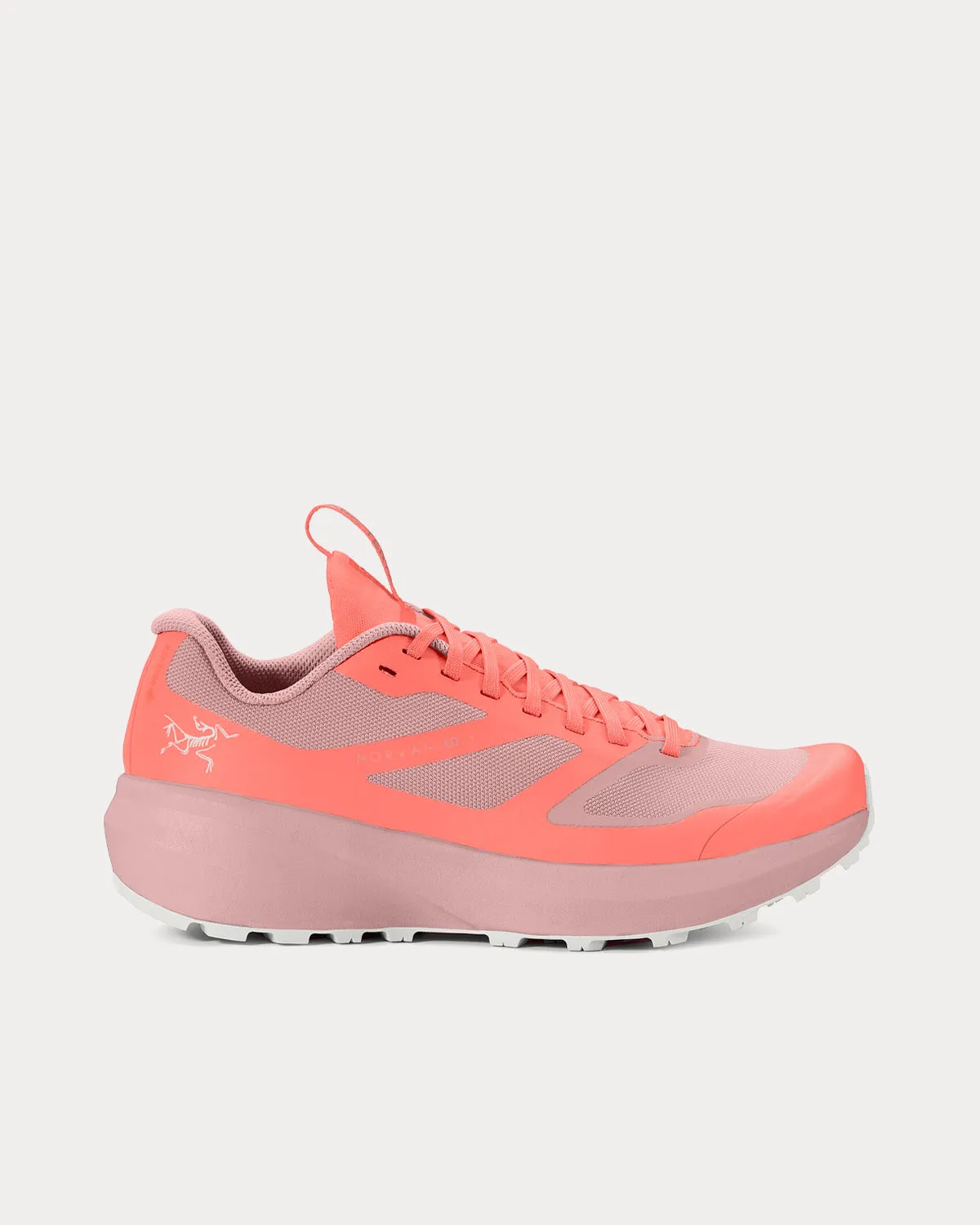 Norvan LD 3 GTX Solasta / Bliss Running Shoes