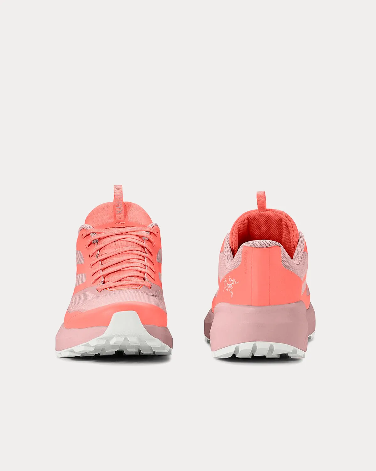 Norvan LD 3 GTX Solasta / Bliss Running Shoes