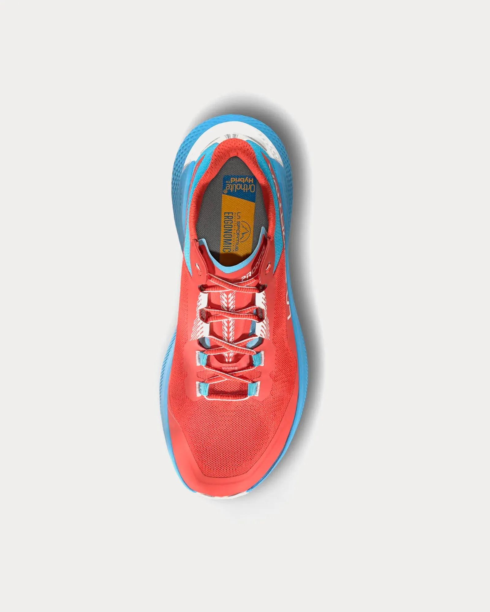 Prodigio Hibiscus / Malibu Blue Running Shoes